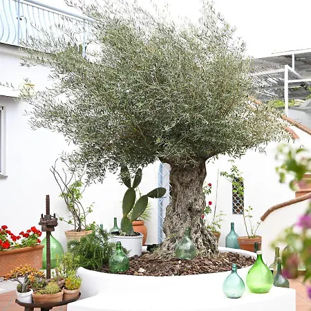 La Aurelia Bacoli