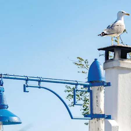 Tatil Evi La Aurelia