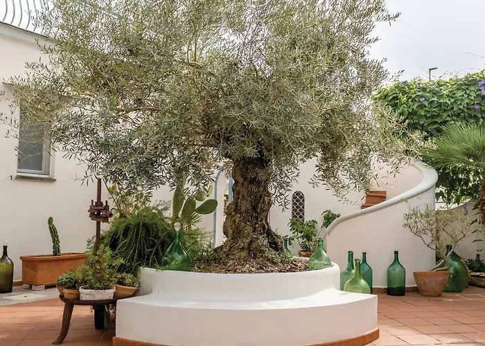 Дом отдыха La Aurelia *