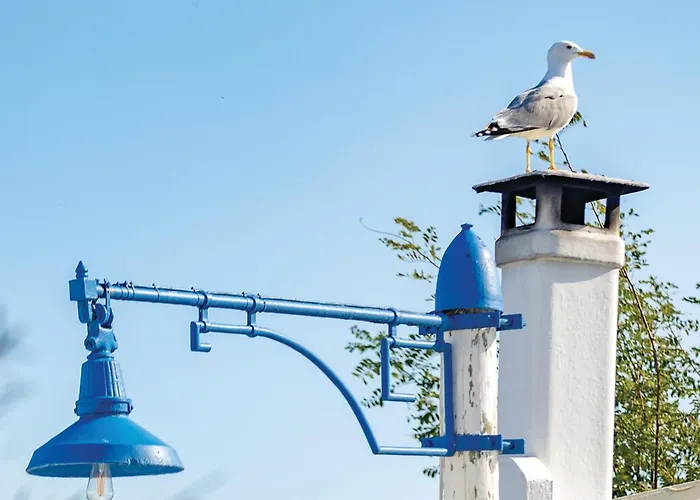 Дом отдыха La Aurelia